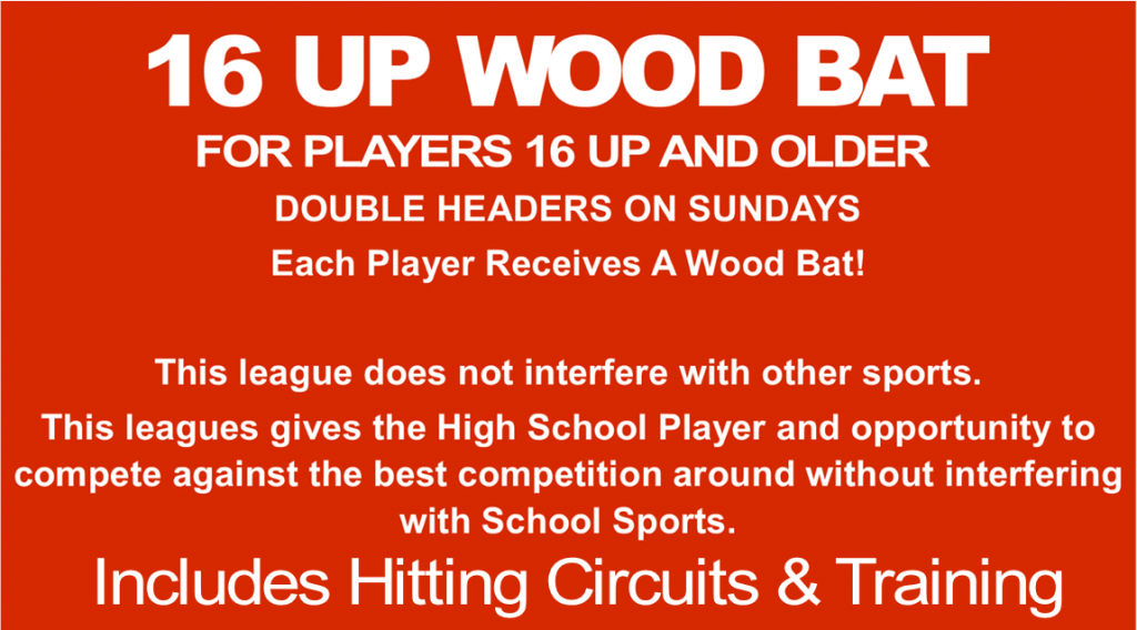 16 up Wood Bat The Strike Zone Omaha