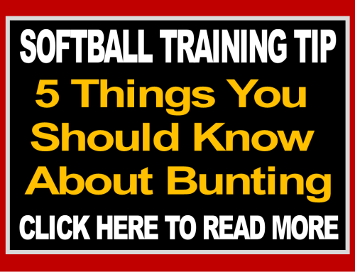 5 Things You Should Know About Bunting