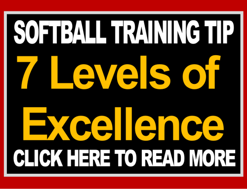 7 Levels of Excellence