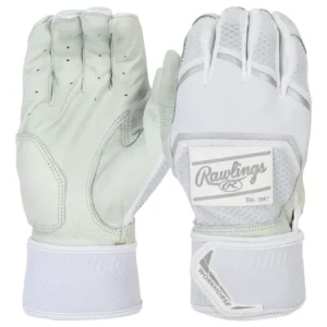 2022 Rawlings Workhorse Model – White